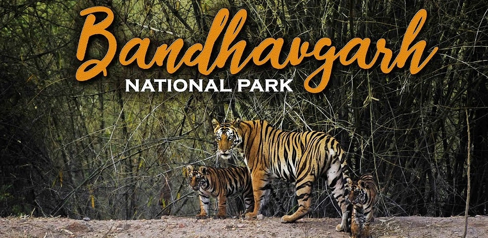 BANDHAVGARH