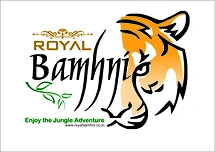 ROYAL BAMHNI