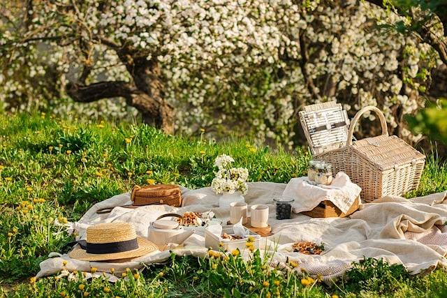 ONE DAY PICNIC OFFER